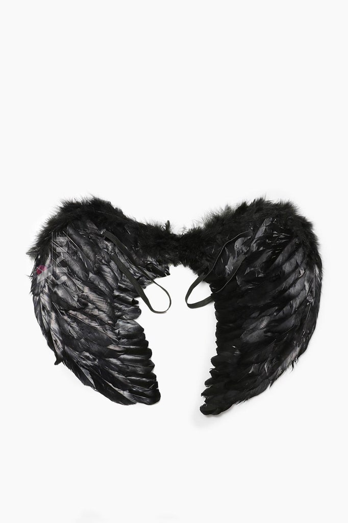 Feather Angel Wings in Black CC20036 (54x42), 5