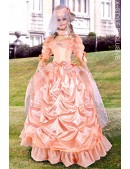 Бальное Викторианское платье 2 пол. 19 ст. (125027r) - foto