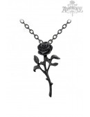 Кулон The Romance of The Black Rose (707068) - foto
