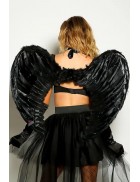 Крылья ангела большие (55х80 см) CC037