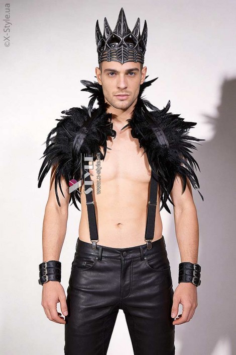 Мужской карнавальный костюм Raven Prince (221017)