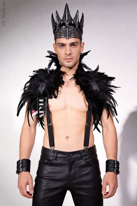 Мужской карнавальный костюм Raven Prince (221017)