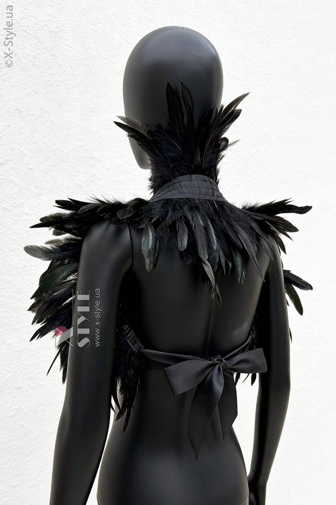 Мужской карнавальный костюм Raven Prince, 11
