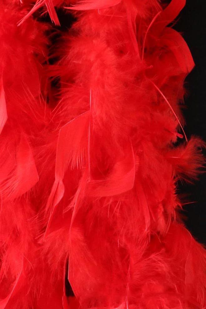 Red Fluffy Boa Premium U4211, 5